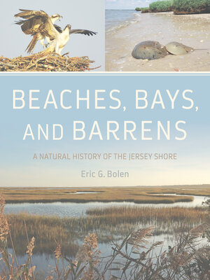 cover image of Beaches, Bays, and Barrens